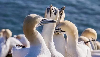 亳州伴游,定制QQ:3494206190微信:act1322