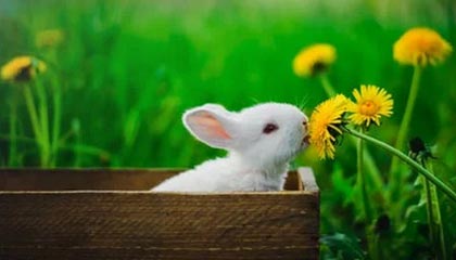 亳州伴游，定制QQ：3494206190微信：act1322